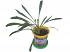 Набор для выращивания растений - Ромашка африканская  - миниатюра №2